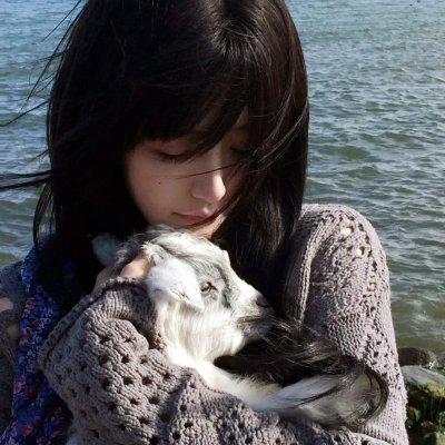 狮子王:木法沙传奇